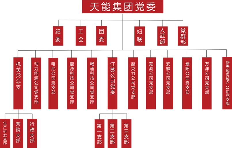 sunbet建团党委组织架构